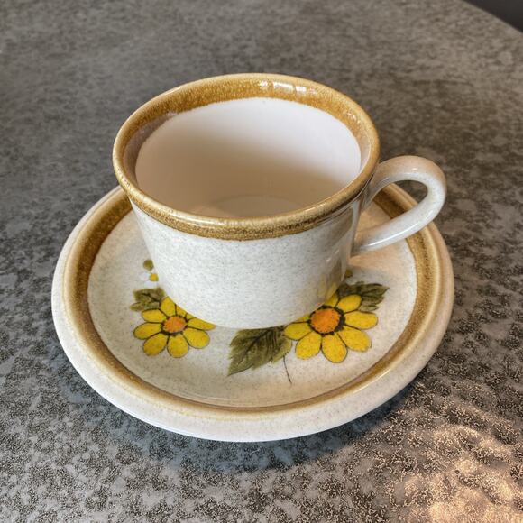 Set of Mikasa Stone Manor MELISSA F5811/F5800 1 Cup & 1 Saucers XLNT CONDITION - Picture 1 of 9